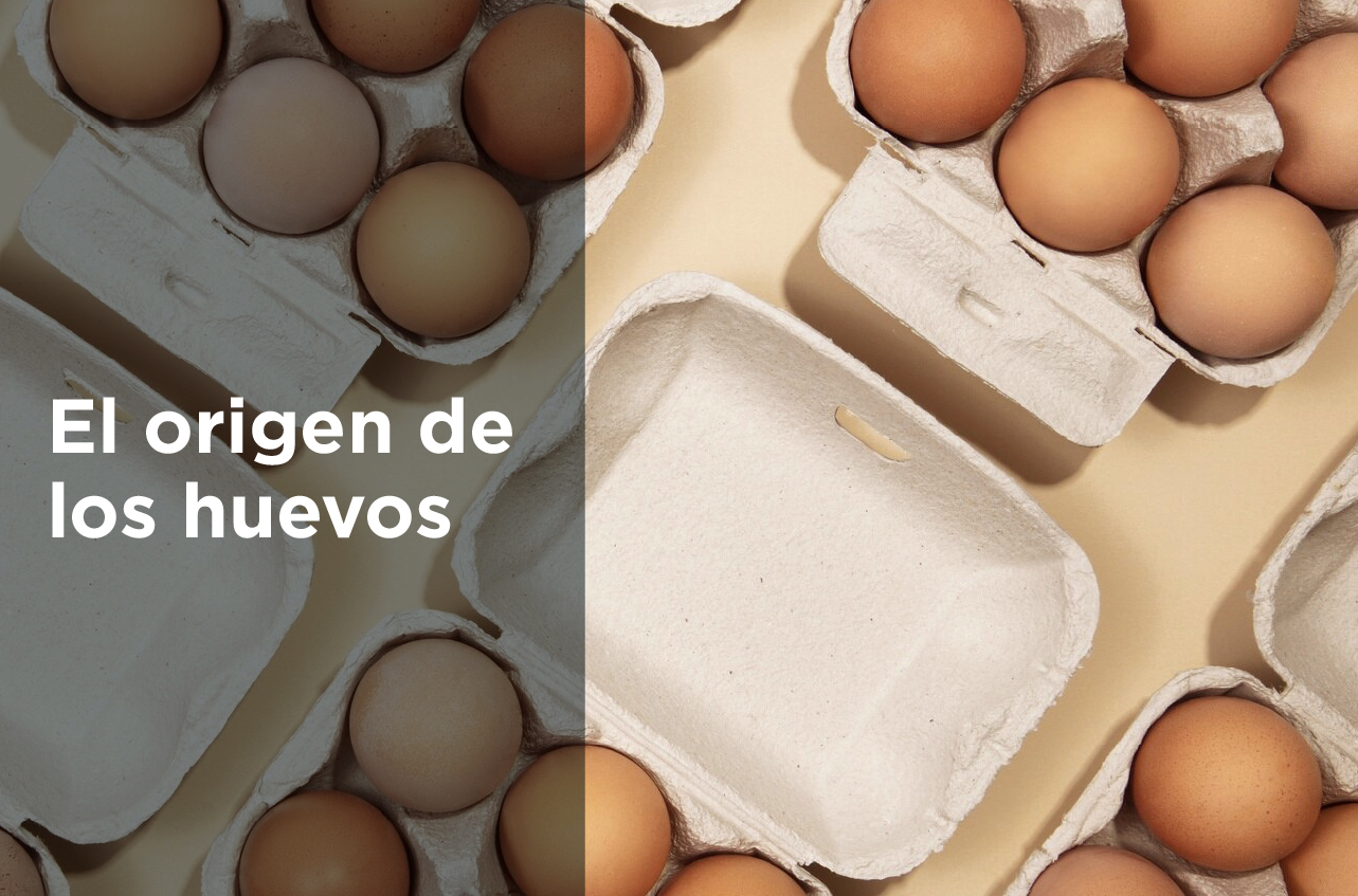 Huevos