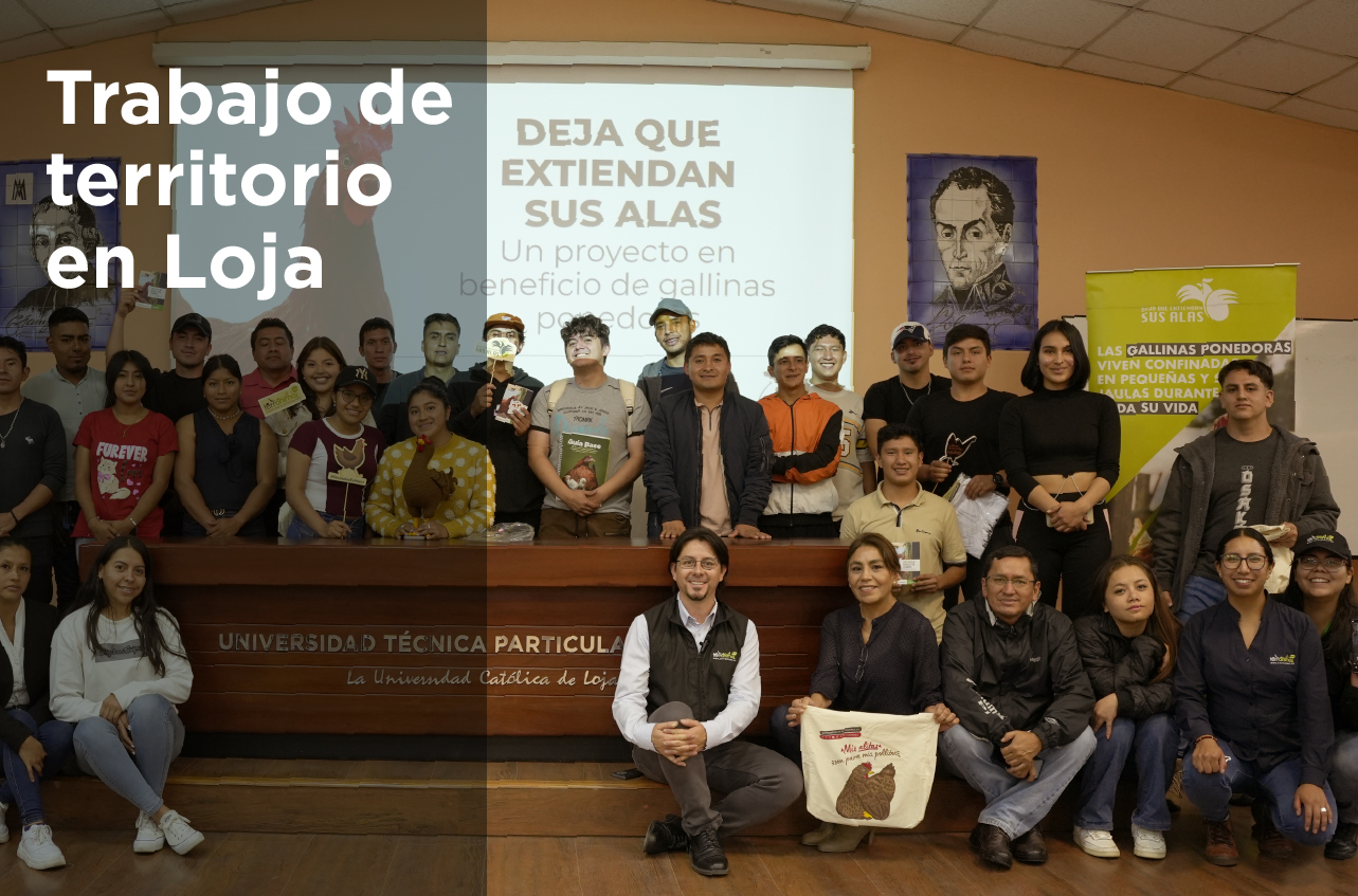 web-100 (7)
