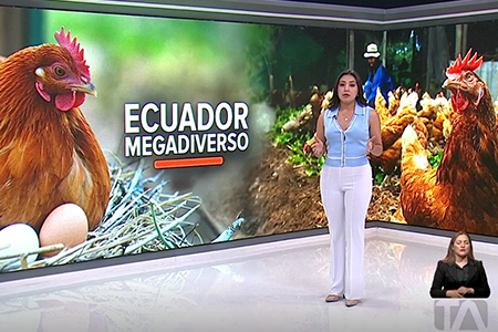 presencia en medios