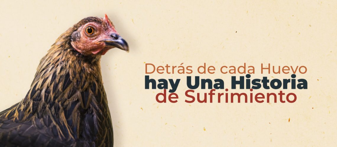 20 de marzo día del huevo